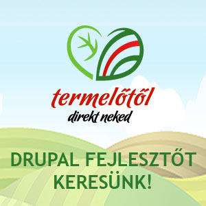 drupal fejlesztőt keresünk drupal fejlesztőt keresünk